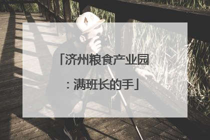 济州粮食产业园：满班长的手