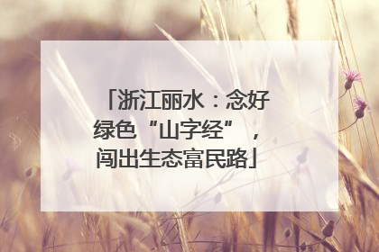 浙江丽水：念好绿色“山字经”，闯出生态富民路