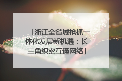 浙江全省域抢抓一体化发展新机遇：长三角织密互通网络