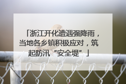 浙江开化遭遇强降雨，当地各乡镇积极应对，筑起防汛“安全堤”