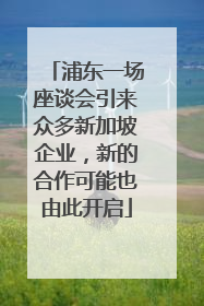 浦东一场座谈会引来众多新加坡企业，新的合作可能也由此开启