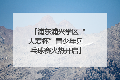 浦东浦兴学区“大爱杯”青少年乒乓球赛火热开启