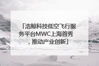 浩鲸科技低空飞行服务平台MWC上海首秀，推动产业创新