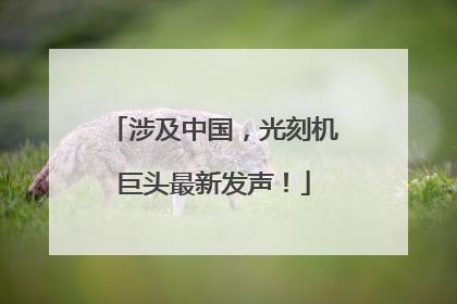 涉及中国，光刻机巨头最新发声！