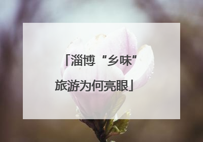 淄博“乡味”旅游为何亮眼