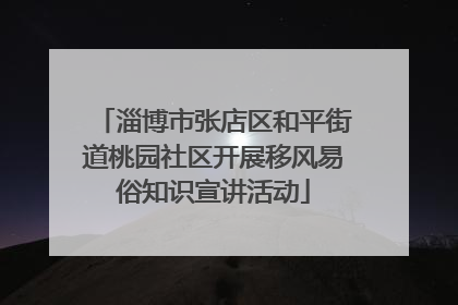 淄博市张店区和平街道桃园社区开展移风易俗知识宣讲活动