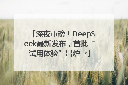 深夜重磅！DeepSeek最新发布，首批“试用体验”出炉→