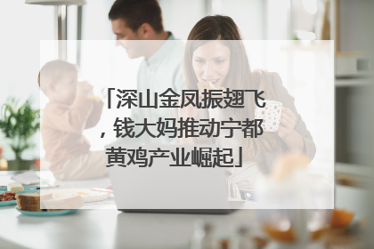 深山金凤振翅飞，钱大妈推动宁都黄鸡产业崛起
