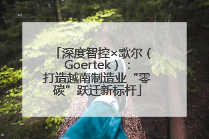 深度智控×歌尔（Goertek）：打造越南制造业“零碳”跃迁新标杆