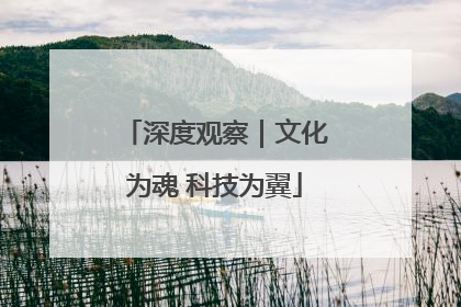 深度观察｜文化为魂 科技为翼