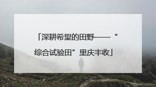 深耕希望的田野——“综合试验田”里庆丰收