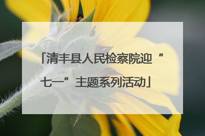 清丰县人民检察院迎“七一”主题系列活动