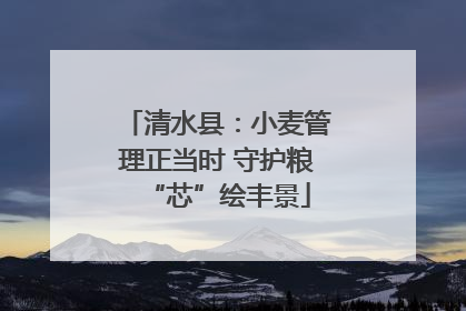 清水县：小麦管理正当时 守护粮“芯”绘丰景