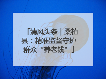 清风头条｜桑植县：精准监督守护群众“养老钱”