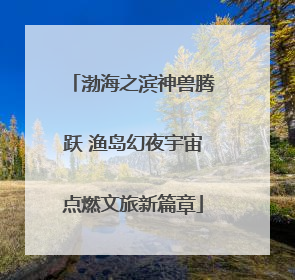 渤海之滨神兽腾跃 渔岛幻夜宇宙点燃文旅新篇章