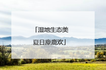 湿地生态美 夏日麋鹿欢