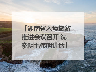 湖南省入境旅游推进会议召开 沈晓明毛伟明讲话