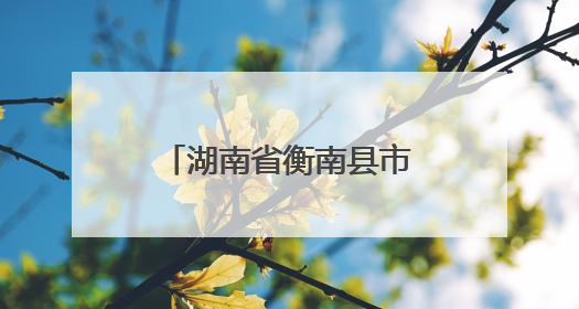 湖南省衡南县市场监管局：以精准“处方”助力企业高质量发展