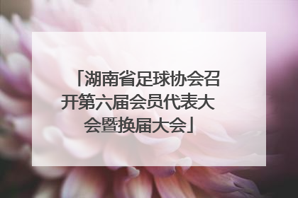 湖南省足球协会召开第六届会员代表大会暨换届大会