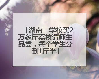 湖南一学校买2万多斤荔枝请师生品尝，每个学生分到1斤半