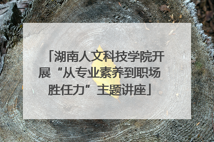 湖南人文科技学院开展“从专业素养到职场胜任力”主题讲座