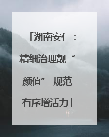 湖南安仁：精细治理靓“颜值” 规范有序增活力