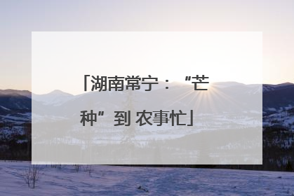 湖南常宁：“芒种”到 农事忙