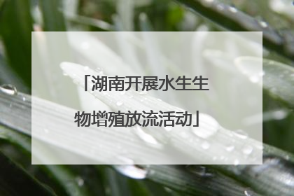 湖南开展水生生物增殖放流活动