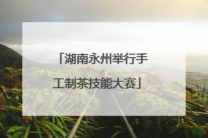 湖南永州举行手工制茶技能大赛