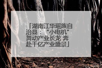 湖南江华瑶族自治县：“小电机”舞动产业长龙 奔赴千亿产业盛景