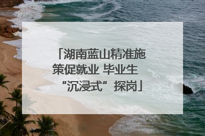 湖南蓝山精准施策促就业 毕业生“沉浸式”探岗