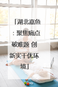 湖北嘉鱼：聚焦痛点破难题 创新实干优环境