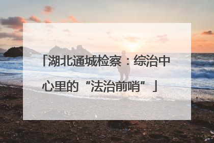 湖北通城检察：综治中心里的“法治前哨”