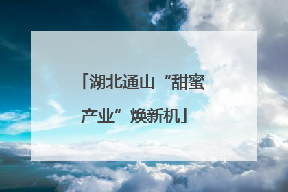 湖北通山“甜蜜产业”焕新机
