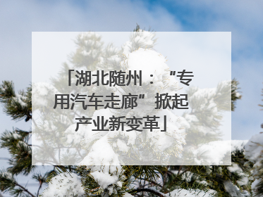 湖北随州：“专用汽车走廊”掀起产业新变革