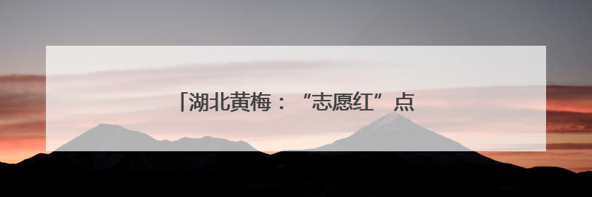 湖北黄梅：“志愿红”点亮社会服务的温暖之光