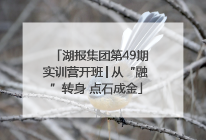 湖报集团第49期实训营开班│从“融”转身 点石成金