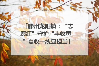 滕州龙阳镇：“志愿红”守护“丰收黄”夏收一线显担当