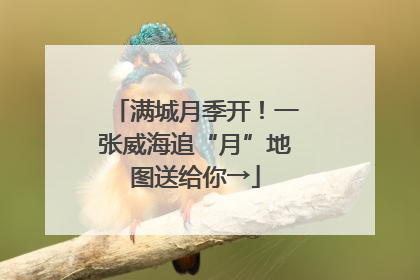 满城月季开！一张威海追“月”地图送给你→