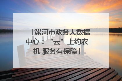 漯河市政务大数据中心：“云”上约农机 服务有保障