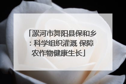 漯河市舞阳县保和乡：科学组织灌溉 保障农作物健康生长