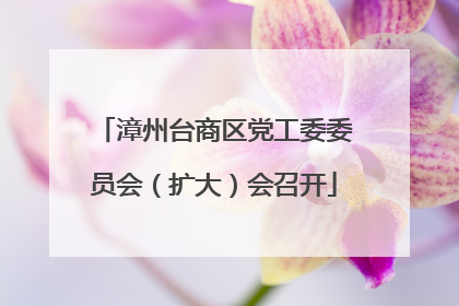 漳州台商区党工委委员会（扩大）会召开