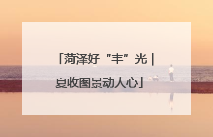 菏泽好“丰”光｜夏收图景动人心
