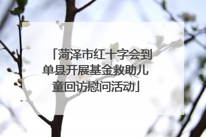 菏泽市红十字会到单县开展基金救助儿童回访慰问活动