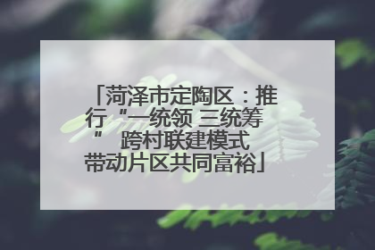 菏泽市定陶区：推行“一统领 三统筹” 跨村联建模式 带动片区共同富裕