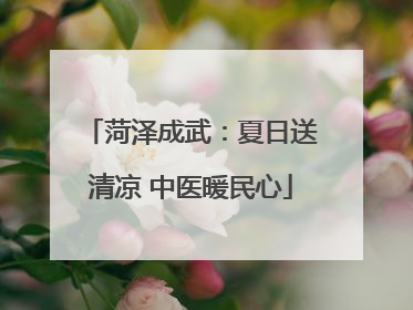 菏泽成武：夏日送清凉 中医暖民心
