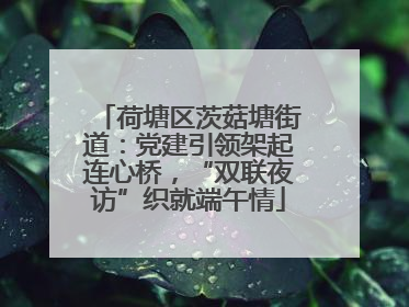 荷塘区茨菇塘街道：党建引领架起连心桥，“双联夜访”织就端午情