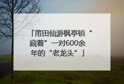 莆田仙游枫亭镇“藏着”一对600余年的“老龙头”