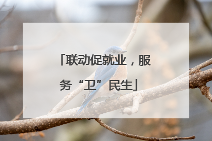 联动促就业，服务“卫”民生