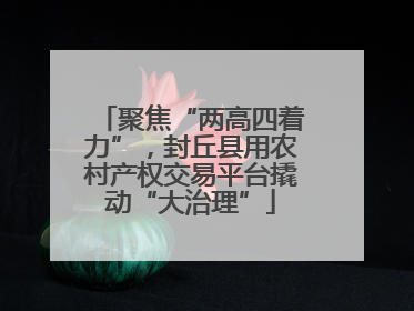 聚焦“两高四着力”，封丘县用农村产权交易平台撬动“大治理”